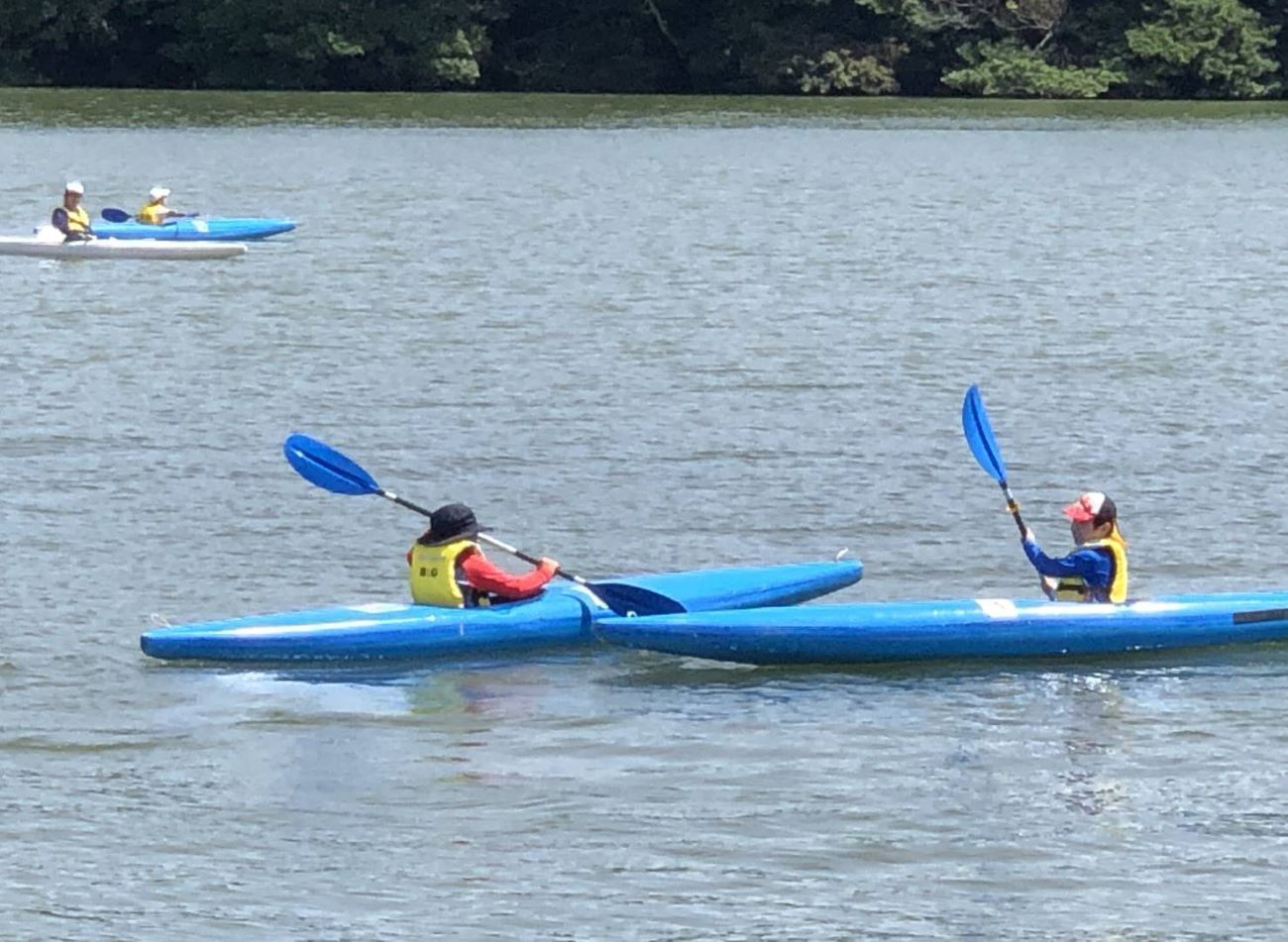 元気アップこもの