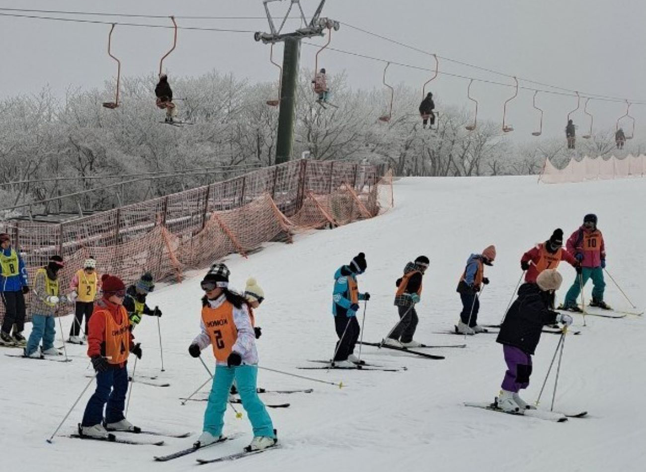 元気アップこもの